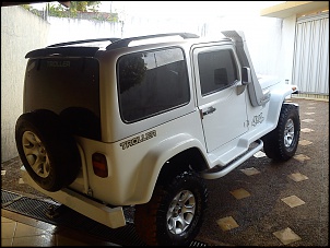 QUAL a COR do Seu TROLLER??-dsc00261.jpg
