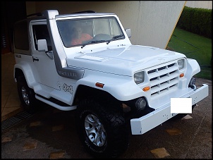 QUAL a COR do Seu TROLLER??-dsc00260.jpg