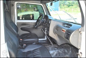 Meu primeiro 4x4 (troller)-4764891958.jpg