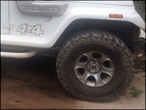 Meu primeiro 4x4 (troller)-image.jpg