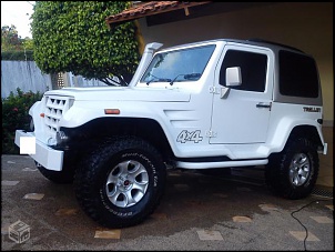 Meu primeiro 4x4 (troller)-2019658675.jpg