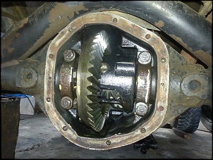 Meu primeiro 4x4 (troller)-10247280_729329227106216_8550651488694294270_n.jpg