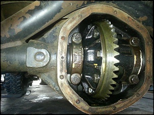 Meu primeiro 4x4 (troller)-10320535_729329280439544_952729986026672104_n.jpg