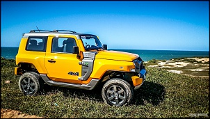 -novo-troller-t4-ford-6-1-.jpg