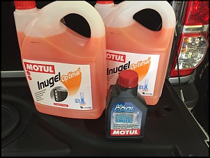 NDG 3.0 - reprogramar com Reiko, SFI ou????-motul.jpg
