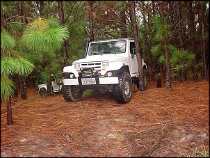 Troller com 35&quot;-trilha-bacupari-3-012.jpg