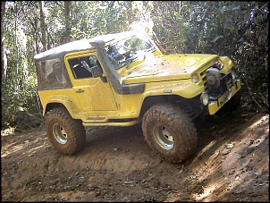 Troller com 35&quot;-image0140.jpg