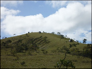 Land Rover Defender 110 SW - &quot;Endurance&quot;-guiana-23-.jpg