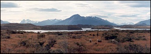 -1990b256.jpg
