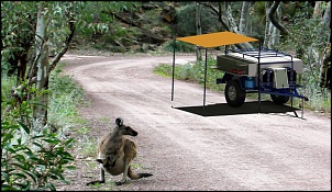 Alguem conhece quem fabrica reboques assim no Brasil-carreta-offroad-floresta.jpg
