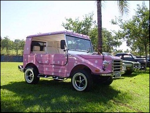 Toyota Land Cruiser HDJ80 - Moranguinho!!!-candangay2.jpg