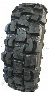Tatu Pneus Off-Road-armadillo.jpg