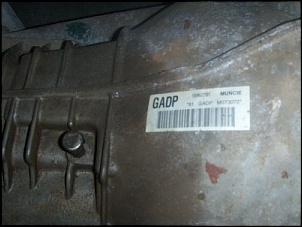 -hpim1246.jpg