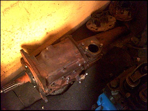 -jeep_-_c_mbio_742.jpg