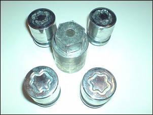 Porcas com segredo para Troller-leo-018.jpg