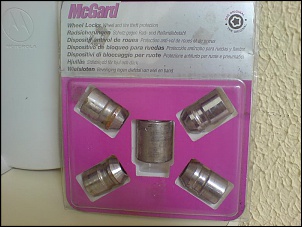 Porcas com segredo para Troller-leo-020.jpg