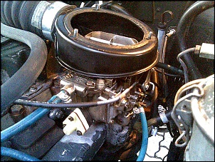 -20052008-001-.jpg