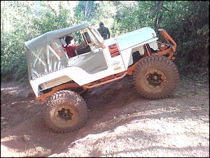 CREEPY CRAWLER 38,5x14,5x16-dsc00103.jpg