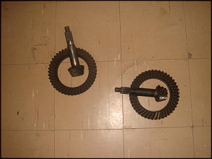 -coroa-e-pinhao-002.jpg