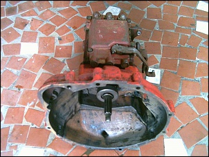 -pict0001.jpg