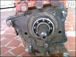 -pict0004.jpg