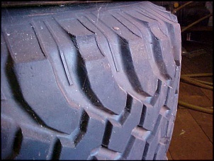 4 Bf Mud!-mvc-012s.jpg