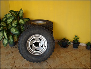 genius 1001 33&quot; + rodas mangels-dsc01832.jpg