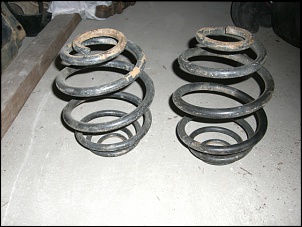 Kit Fess-cimg1904.jpg
