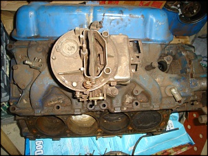 V8 - 302!-carburador.jpg