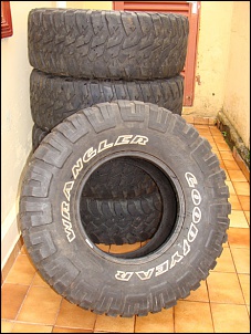 Pneus 33' MT/R e BF Mud-wrangler01.jpg