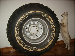 4 pneu com roda tala 10...-general-003.jpg