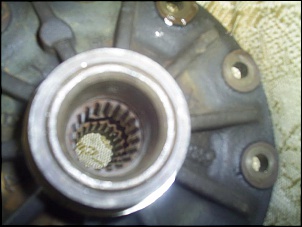 -s3020227.jpg