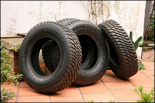 -guarda-2009-5.jpg