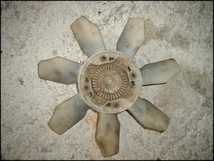 -img_0036.jpg