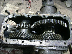 Reduzida F75-dsc02675.jpg