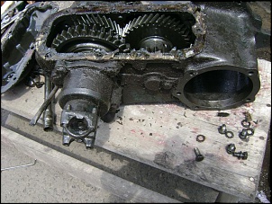 Reduzida F75-dsc02677.jpg