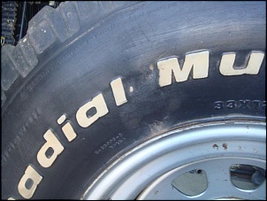 Pneus BF Mud 33&quot; com Mangels-dsc01720.jpg