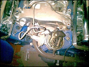 Motor V8 272 completo.-20082009-005-1-.jpg