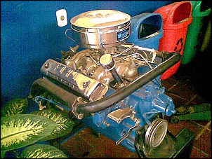Motor V8 272 completo.-20082009-1-.jpg