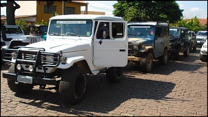 Vendo Quebra Mato de Toyota Bandeirante-dsc02363-....jpg