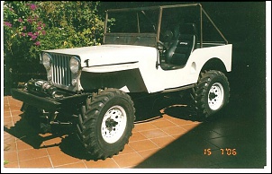 Gaiola pra Jeep 51-51-1.jpg