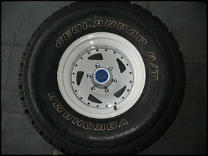 copinho mangels com emblema jpx-gedc1005.jpg