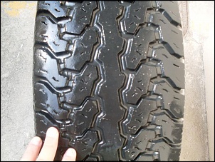 Rodas Mangels 15x7 e pneus BF AT 31&quot;-sdc11979.jpg