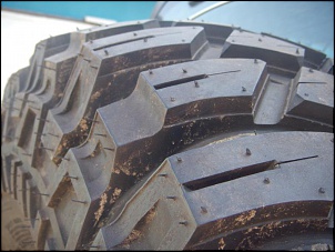 Maxxis Creepy Crawly 37x14,5/15-dscn2583.jpg