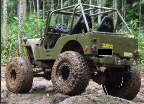 VENDO Pneus Maxxis Creepy Crawler 38,5&quot;-120.jpg
