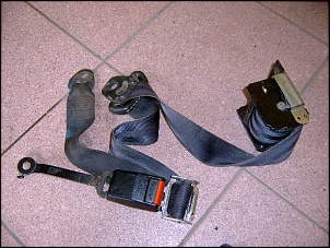 -cintoseg2_167.jpg