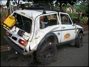 -niva_1.jpg