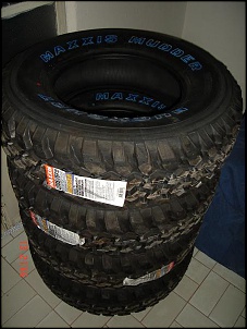 Vendo 4 pneus Buck Shot Mudder 235/75/15 0Km-dsc00605.jpg