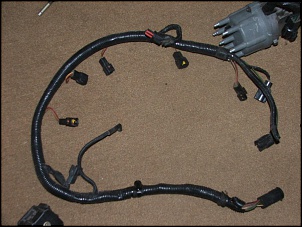 Motor 4.9I-dscf1112b_115.jpg