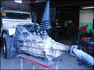 -pict0135.jpg